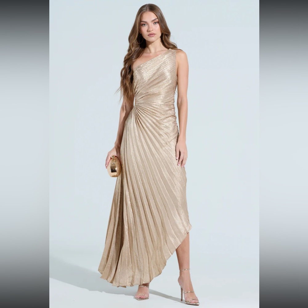 Juliette Metallic Pleaded MIDI Dress NWT